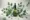 Eucalyptus Oil