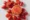 Lycopene