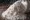 Potassium Bicarbonate