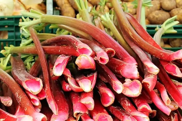 Rhubarb