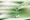 Vegetable Glycerine