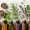 Qei Lifeline Therapy - Natural Healing and Wellness Program